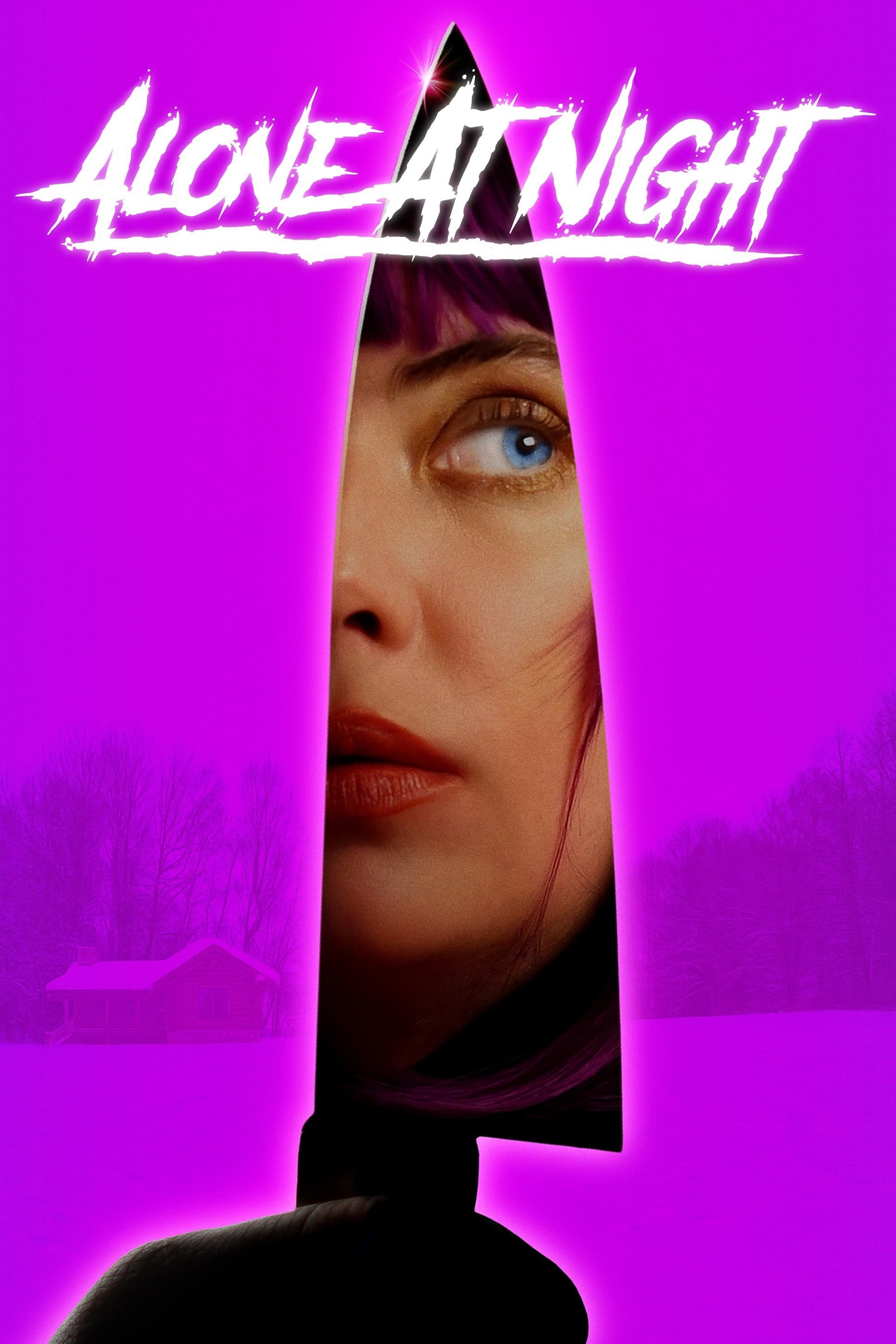 Alone at Night Hindi Dubbed Movie Poster (2022)
