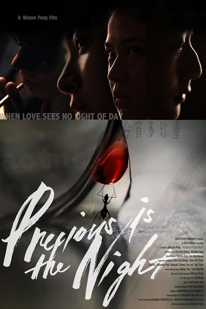 Precious Is the Night Hindi Dubbed Movie Poster (2020)
