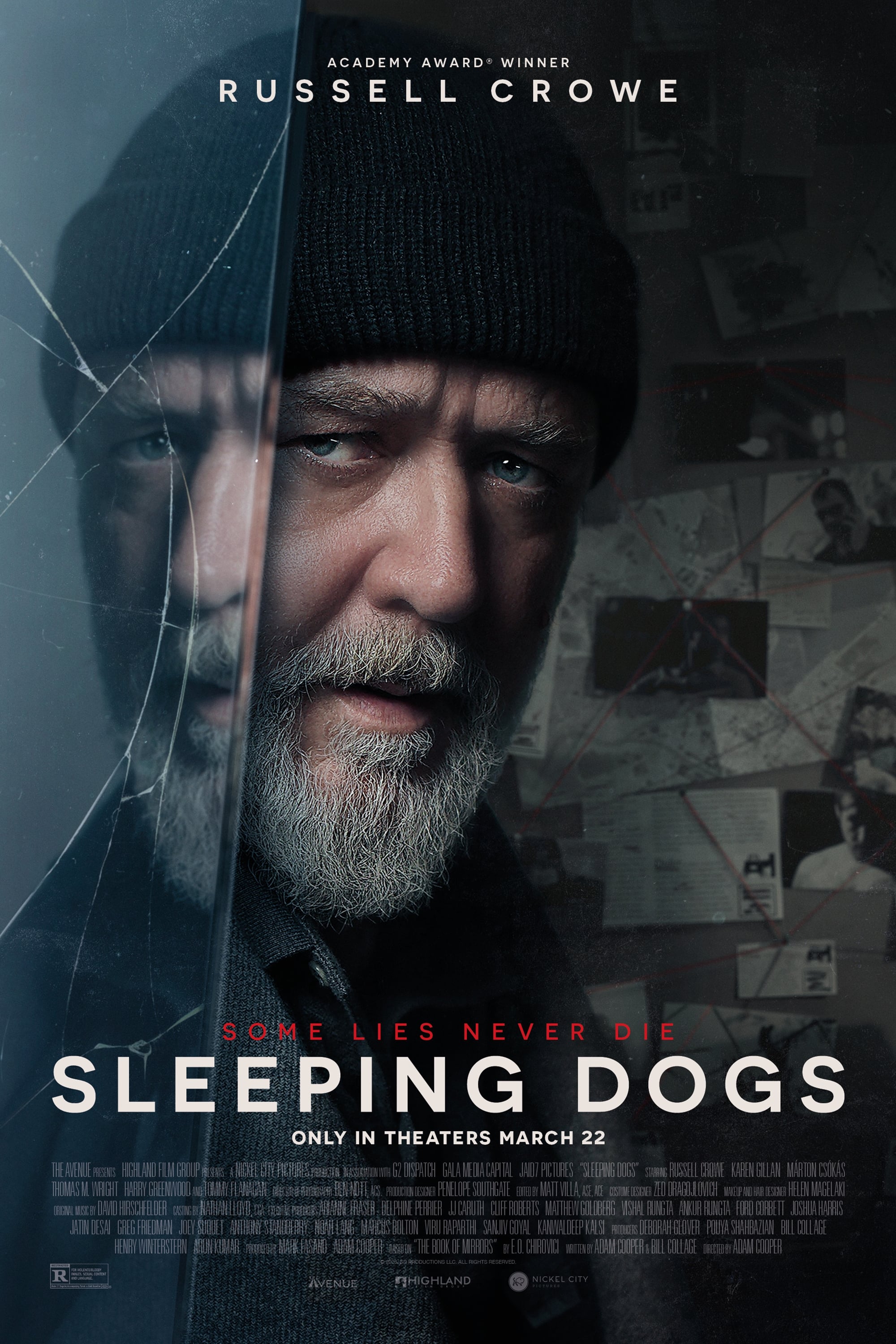 Sleeping Dogs Hindi Dubbed Movie Poster (2024)