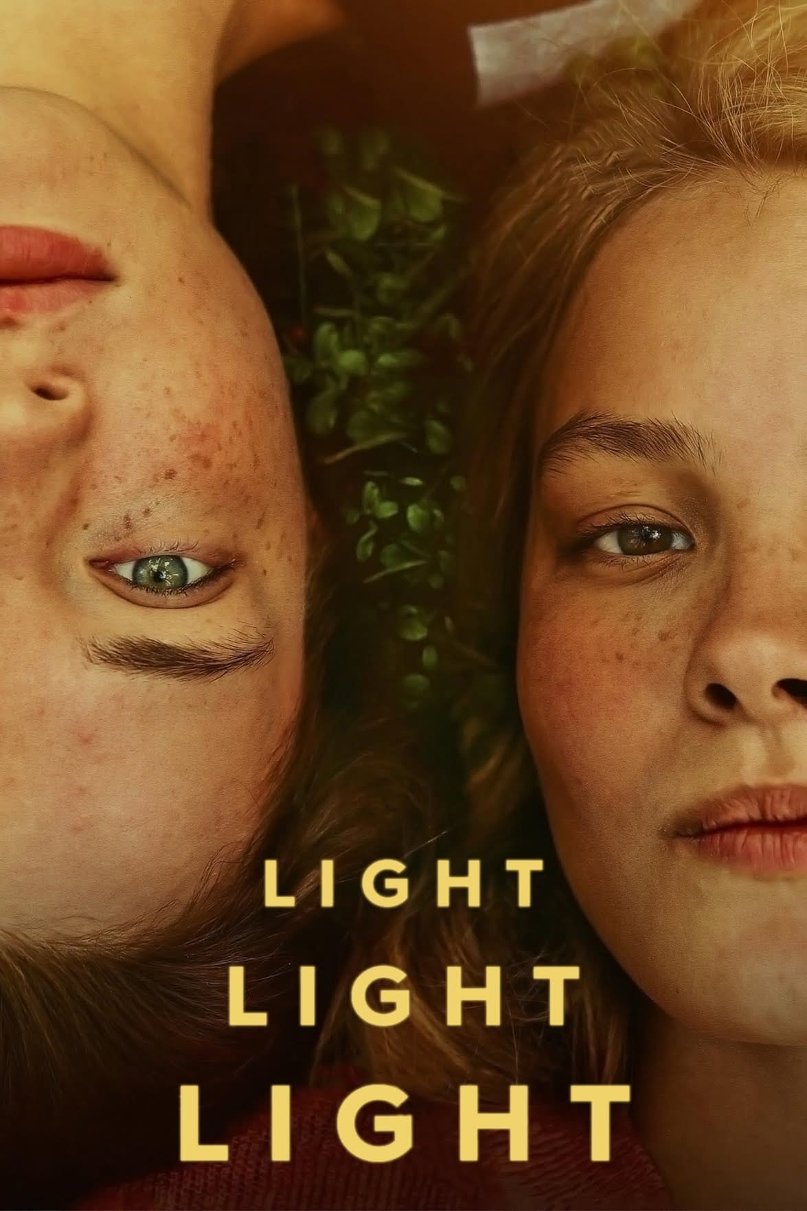 Light Light Light Hindi Dubbed Movie Poster (2023)